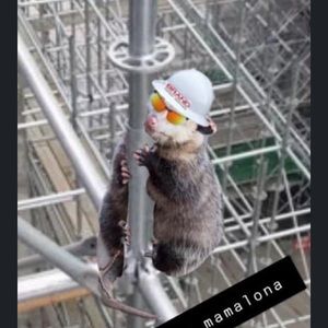 Meet your Posher, Marco